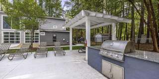 Timber Hollow Gallery 17