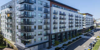 Rook Apartments Gallery 33