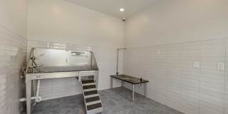 Elmstead Gallery 82