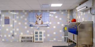 River Point Gallery 56