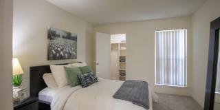 Canyon Creek Gallery 23