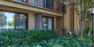 Whitestone at Landmark Gallery 13