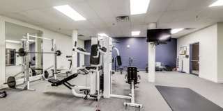 1133 South Wabash Ave. Gallery 8