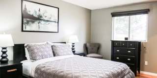 Cozy Gem,Dog-Friendly, Near Outdoor Escapes Gallery 24