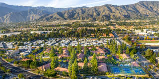 Citrus Place Gallery 77