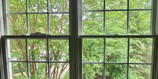 310 Mountain Alder Lane Gallery 47