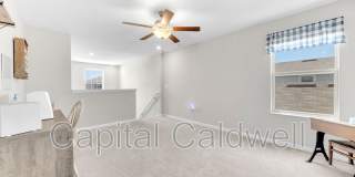 9434 Lemon Drop Loop Gallery 29