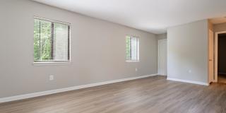 Rosen at North Hills Gallery 12