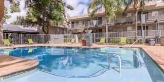 Treehouse Apartments Gallery 26