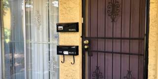Nice 1/1 apartment - move in now no rent till January Nice 1/1 apartment - move in now no rent till January Gallery 14