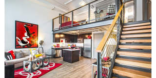 Koi Apartments Gallery 1