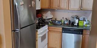 Great 3 Bed Available 9/1/26 Gallery 3