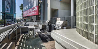 Sunset and Vine Sunset and Vine Gallery 31