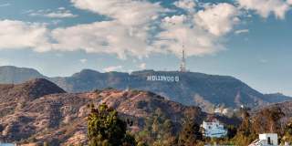 SM Hollywood SM Hollywood Gallery 15