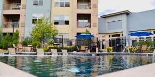 Andante at Nine Mile Station Gallery 6