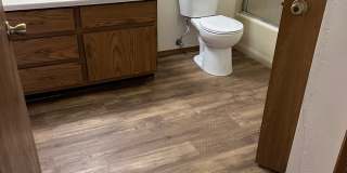 2995 Mossy Oak Circle Gallery 4