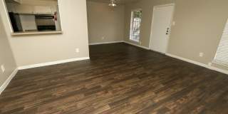 Spring Pine Gallery 4