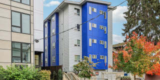 Juno Studios is now Leasing! Juno Studios is now Leasing! Gallery 10