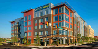 The Frasier Gallery 31