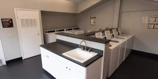 Greenback Gardens Gallery 37