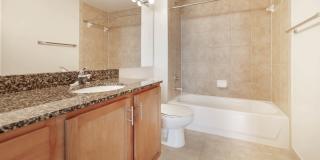 The Veridian Gallery 101