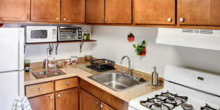 Washington Court Gallery 4