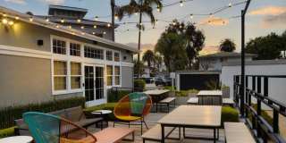 Ava Newport Gallery 12