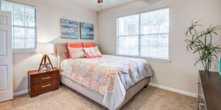 Nolina Flats Nolina Flats Gallery 10