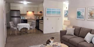 385 Huse Road Gallery 17