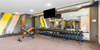 The Fox & The Grouse Gallery 31