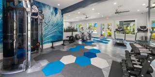 Elevate 155 Gallery 16