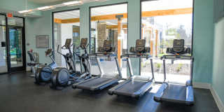 Waters at Hammond Gallery 25