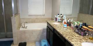 12311 Ballentrae Forest Dr Gallery 12