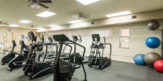 12212 N PARADISE VILLAGE Parkway Gallery 26