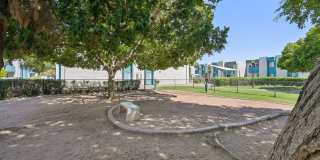 Sycamore Square Gallery 29