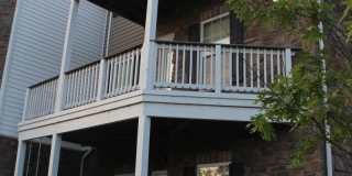 42387 TRELLIS Square Gallery 4