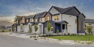 Mt. Rainier Gallery 3