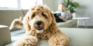 Lofts at North Hills Gallery 45