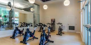 Magnolia at Milton Gallery 7