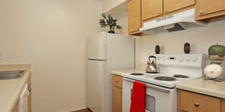 Morgan Park Gallery 12