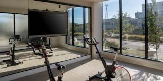 Oro Ballantyne Gallery 38