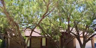 123 Seco Dr Gallery 1