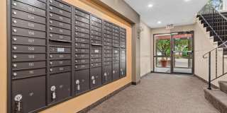 Palisades Gallery 28