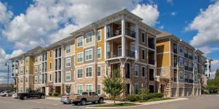 Red Knot at Edinburgh Gallery 32