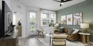 The Dahlia Gallery 6