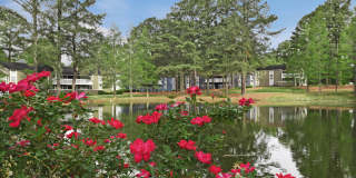 Highland Meadows Gallery 29