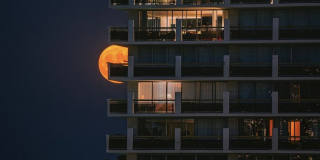 1200 Lakeshore Gallery 25