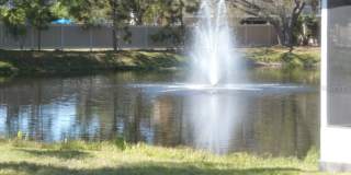 Spacious 2-Bedroom, 2-Bath Villa with Pond Views and Garage in Largo! Gallery 5