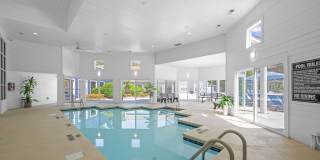 The Arboretum Gallery 11