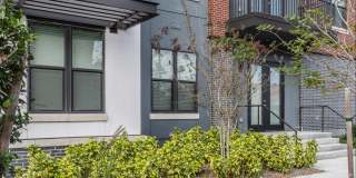 Lector 85 Gallery 31